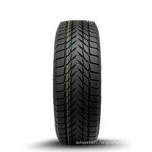 Winter Tire 225/60r16